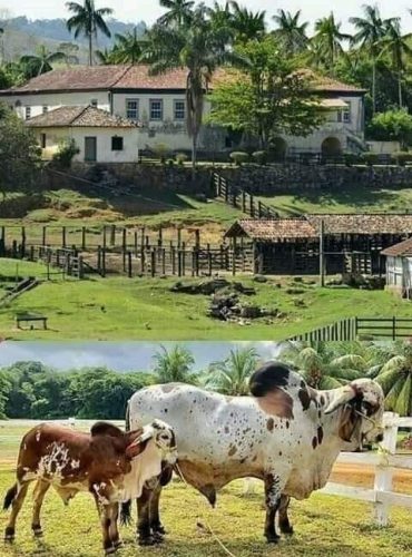 6354e746624db7ed52486a6bdf7ebfbe