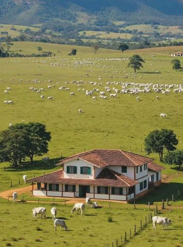 be4f2f73b6593a9158c06286c83e7026