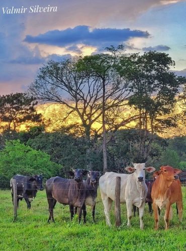 deb4373a54b90ba57e0938e2c866f4b6